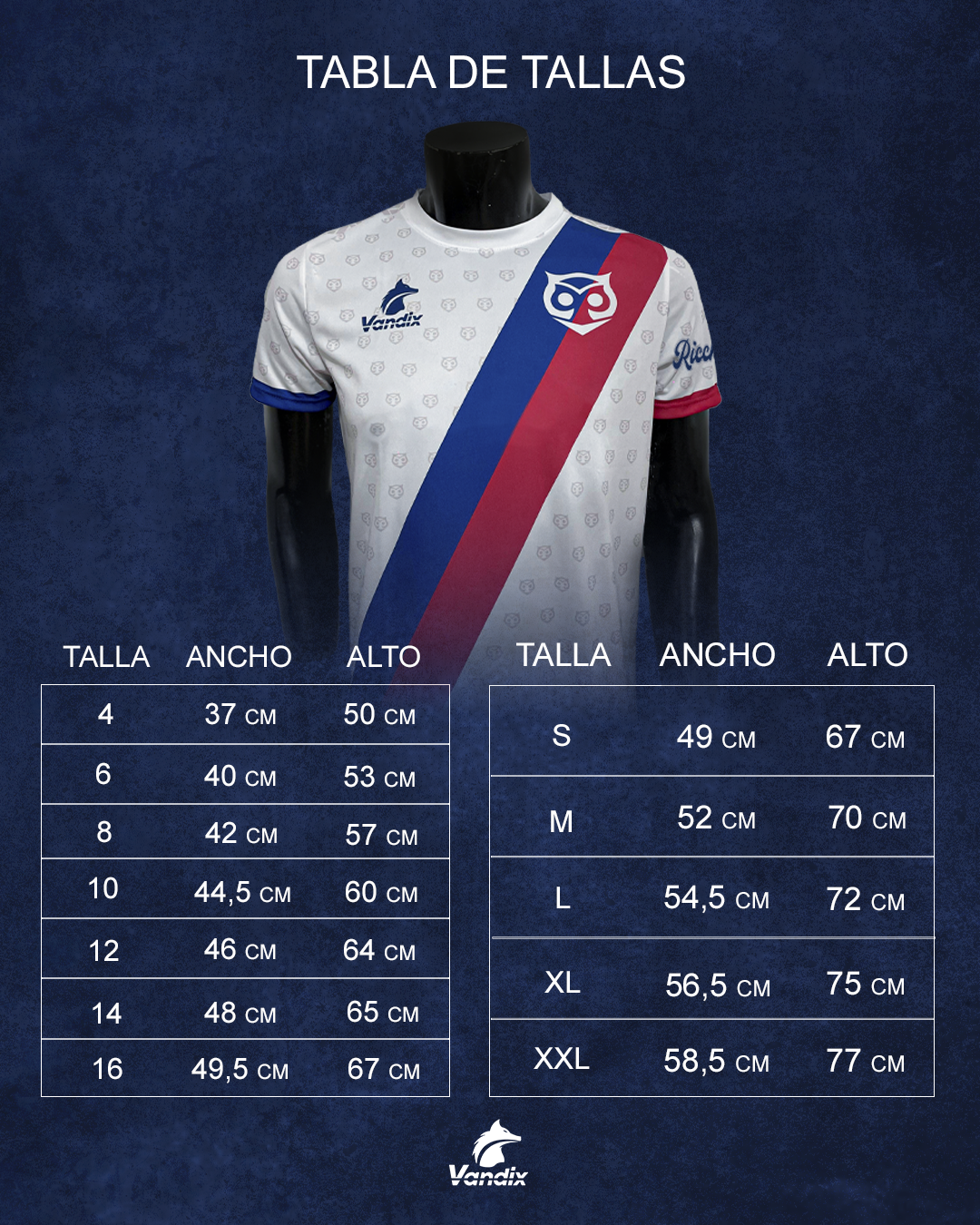 (PRE-VENTA) CAMISETA RICCHI 2025