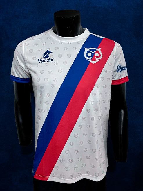 (PRE-VENTA) CAMISETA RICCHI 2025