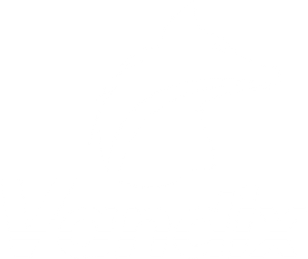 Vandix Chile